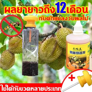 ชุดดักแมลงวันทอง พร้อมสารล่อเมทิลยูจินอล (แมลงวันทองผลไม้ หนอนเจาะผลไม้ พริก มะเขือ ) สำหรับ โรงเรือน แปลงเกษตร สวนผลไม้