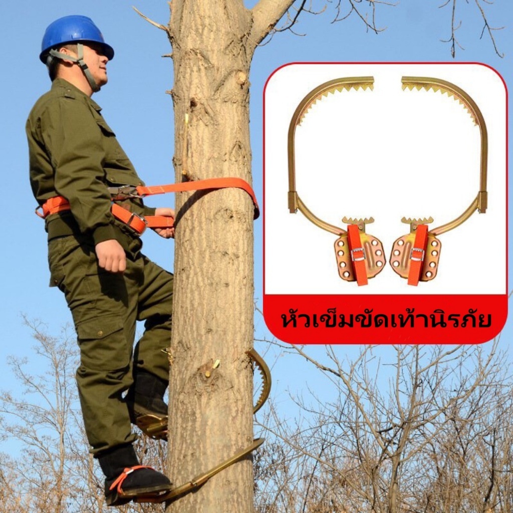 อุปกรณ์ปีนต้นไม้ รองเท้าปีนต้นไม้.เครื่องมือปีนต้นไม้ / เครื่องมือปีนเสา เข็มขัด นิรภัย ปีนเสา – โปรปัง