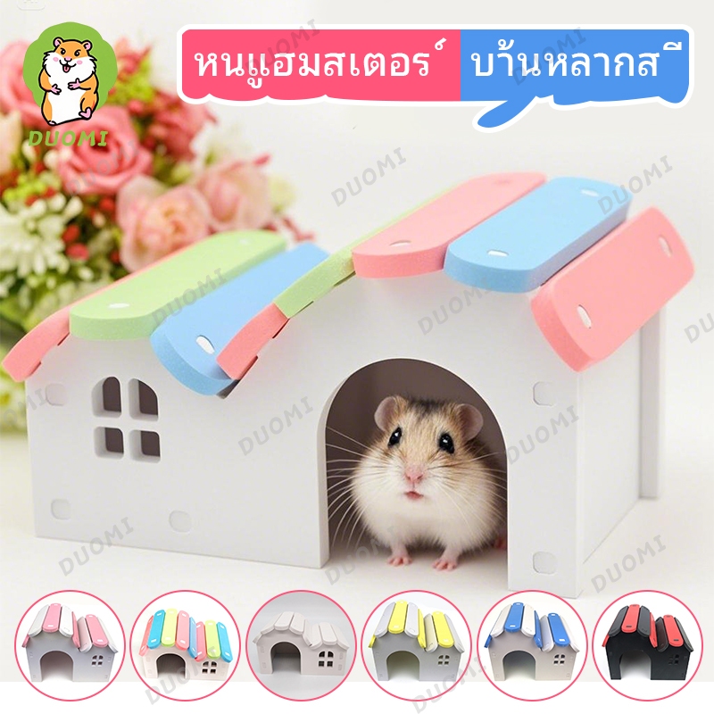 [ในสต็อก + จัดส่งจากประเทศไทย]รังหนูแฮมสเตอร์ หมีสีทองห้องนอนอุปกรณ์รังที่มีสีสันของเล่นไม้บ้านหลังเล็กอุปกรณ์หนูแฮมสเตอร์