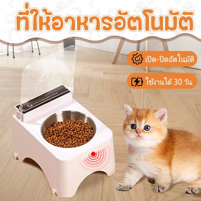 🐱สัตว์เลี้ยง ที่ให้อาหารอัตโนมัติ สเตนเลส ชามข้าว พรีเมี่ยม 380ml 🐶 เครื่องให้อาหาร แมว สุนัข
