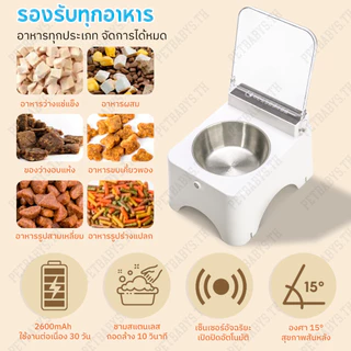 ชามอาหารสัตว์ไร้สาย อาหารอัตโนมัติเปิดฝาเซ็นเซอร์ กันมดขึ้นอาหารแมว พร้อมกับถ้วยแมวสแตนเลส 15°ป้องกันคอ