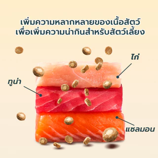 Live Bite Of Wild อาหารแมวอบช้า 3 กก. B45 ทูน่าแมว Kibbles 45% เนื้อสูง Grain-ฟรี, ลูกแมวที่เหมาะสมและแมวโต