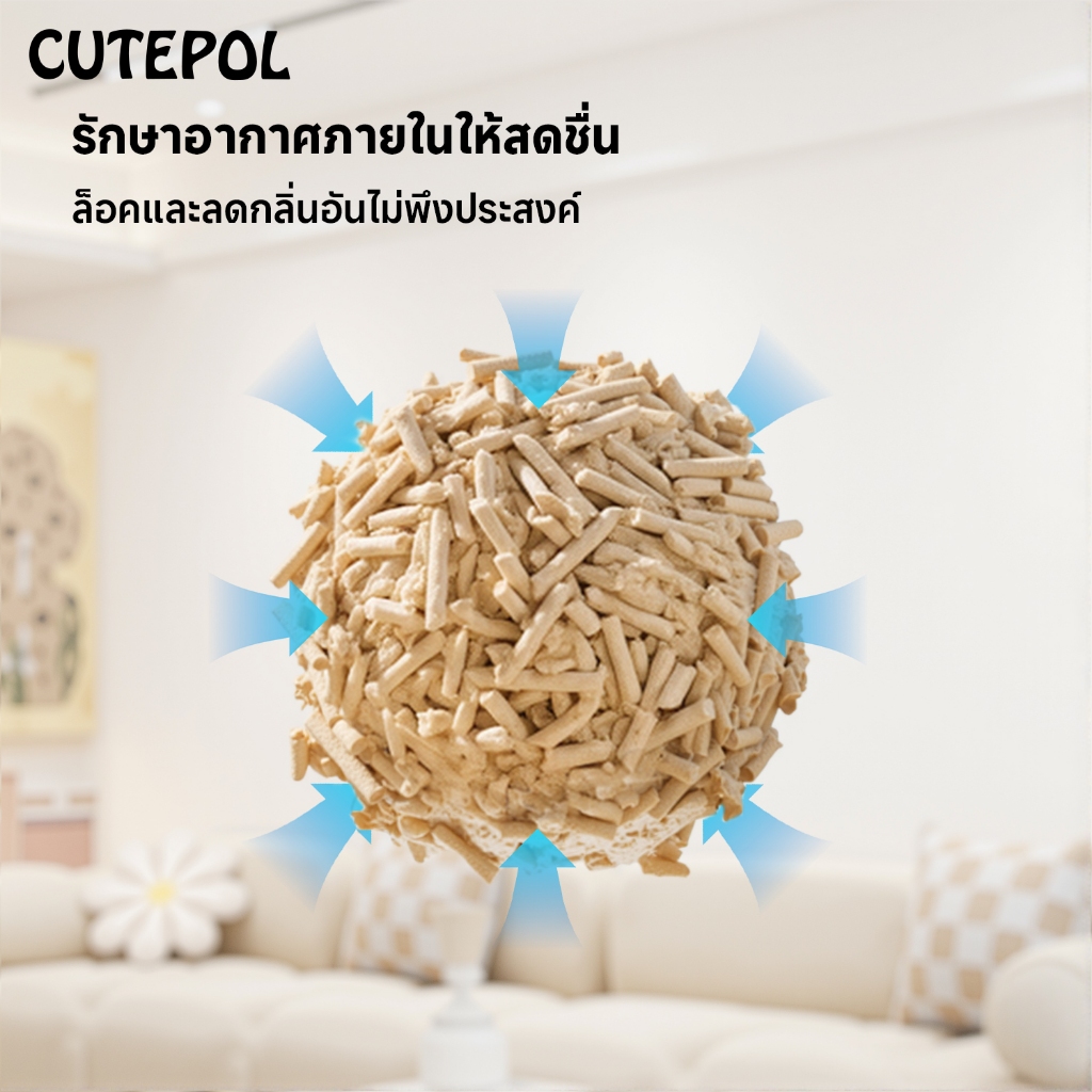 รูปภาพ 6