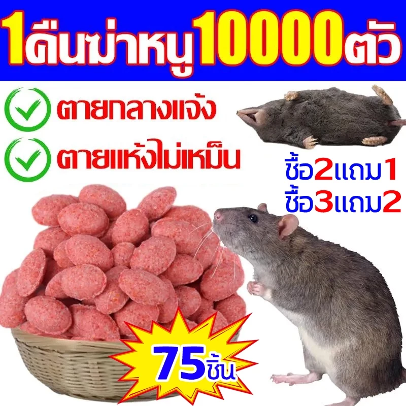 ยากําจัดหนู เหยื่อไล่หนู ฆ่าหนูได้ 10,000 ตัว 1 ห่อ 250g