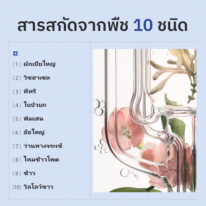 รูปภาพ 6