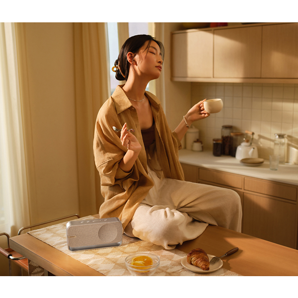 BOSE SoundLnk HOME SoundLnk Mini II Wireless and Bluetooth Speakers ลำโพงบลูทู ธ เครื่องเสียงกลางแจ้งแบบพกพาขนาดเล็ก