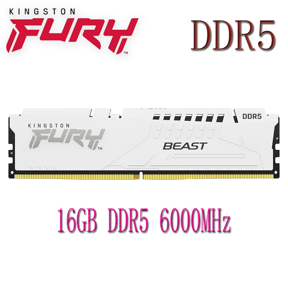 Kingston Fury Beast DDR5 RAM 16GB DDR5 6000 KF560C40BW-16 หน่วยความจําเดสก์ท็อปคอมพิวเตอร์ RAM สีขาว