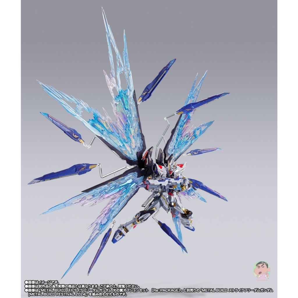 Bandai METAL BUILD STRIKE FREEDOM GUNDAM WING OF LIGHT OPTION SET [Re:PACKAGE]