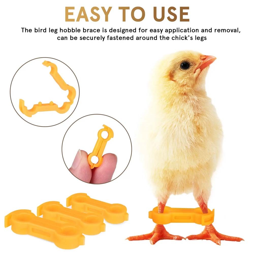 5 ชิ้น 4/5/6 มม.นกแก้วขา Corrector Rutin ไก่ Budgie Peony Budgie Cockatiel Nestling‌ อุปกรณ์นกแหวนแก้ไขแปดตัวอักษร