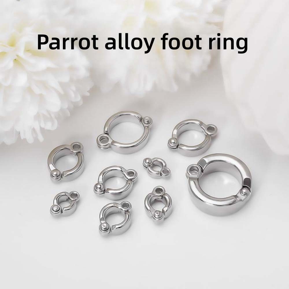 Birds training Leash Rings Clip Parrot Flying Accessory 4mm to 15mm Birds foot ring with Connect buckle Birds ระบุเที่ยวบินการฝึกอบรมแหวนขา