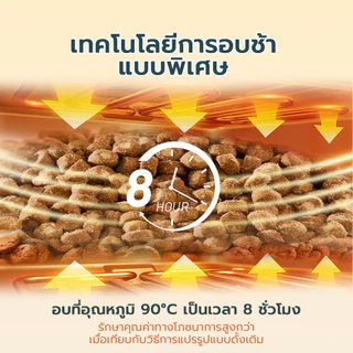 Live Bite Of Wild อาหารแมวอบช้า 100g B45 ทูน่าแมว Kibbles 45% เนื้อสูง Grain-ฟรี, ลูกแมวที่เหมาะสมและแมวโต