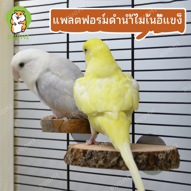 [มีในสต็อก + จัดส่งจากประเทศไทย]ที่วางนกแก้ว ชินชิล่า กระรอก หนูแฮมสเตอร์ อุปกรณ์นก เหยียบ สปริงบอร์ด อุปกรณ์สัตว์เลี้ยง ฟันและปีน