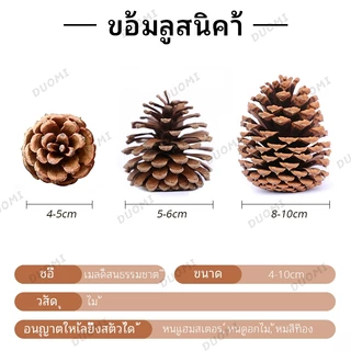 [ในสต็อก + จัดส่งจากประเทศไทย]ลูกสนสำหรับแฮมสเตอร์ ของเล่นเคี้ยว อุปกรณ์จัดสวน เหมาะสำหรับสัตว์เลี้ยงขนาดเล็ก เช่น แฮมสเตอร์และกระรอก