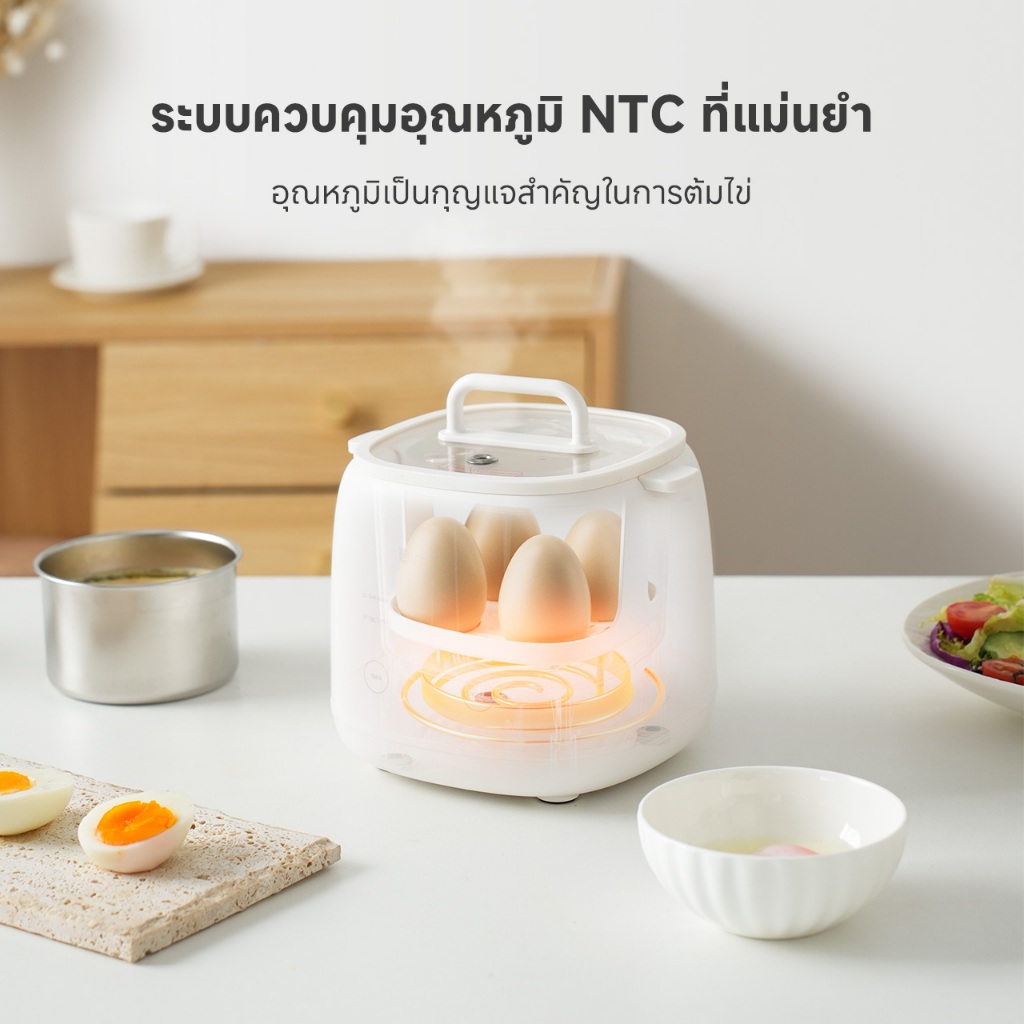 รูปภาพ 5