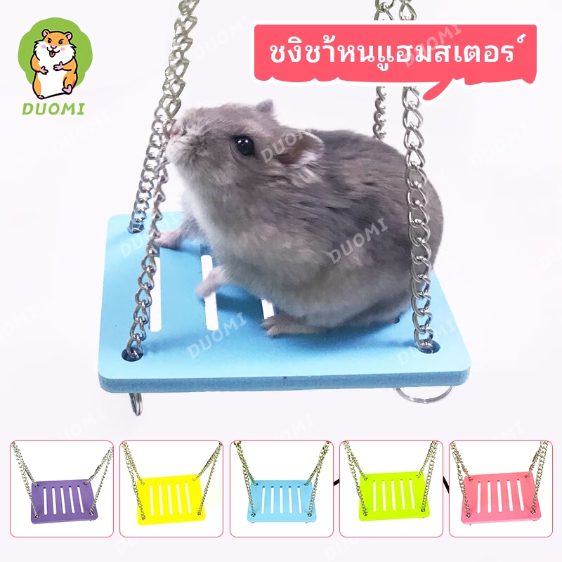 [ในสต็อก + จัดส่งจากประเทศไทย]หนูแฮมสเตอร์แกว่งกระดานนิเวศวิทยาที่มีสีสันแกว่งของเล่นหนูแฮมสเตอร์ของเล่นอุปกรณ์หนูแฮมสเตอร์ของเล่น