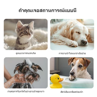 จัดส่งฟรี💦 IVON Dry Shampoo 💦โฟมอาบน้ำแห้งสัตว์เลี้ยง แชมพูแมว สบู่อาบน้ําหมา แชมพูสุนัข สูตรอ่อนโยน ปลอดภัย ดับกลิ่น สะอาด 500ml