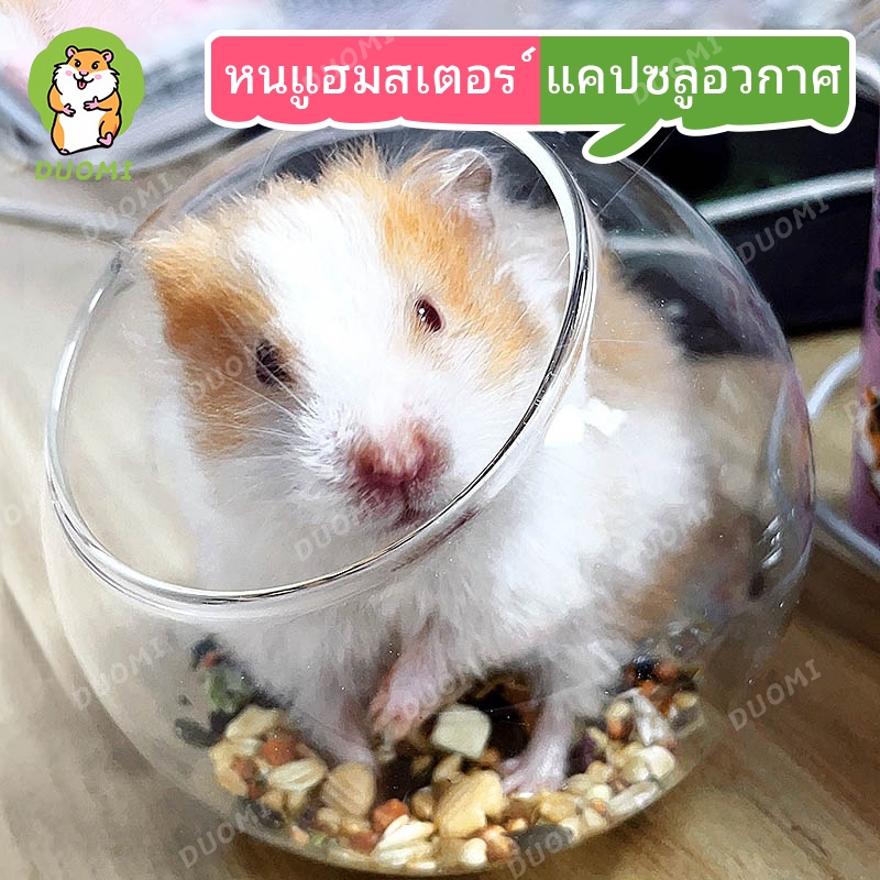 [ในสต็อก + จัดส่งจากประเทศไทย]แก้วห้องน้ําแก้วคริสตัลเม่น / บ้านนอน / กรงหนูแฮมสเตอร์โปร่งใสขนาดต่างๆของรังสําหรับกระรอกและแฮมสเตอร