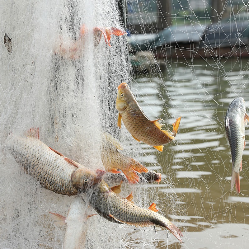 จัดส่งทันที แหฝรั่ง ตาข่ายมองดักปลา ข่ายดักปลาเอ็นใยบัวเบอร์ ตาข่ายจม 3 ชั้น แหจับปล สูง 1.2 ม - รูปที่ 2