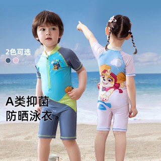 paw patrol ชุดว่ายน้ำวันพีชสำหรับเด็กใหม่ปี 2021