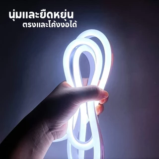2835 220V หลอดไฟ LED นีออนสีกันน้ำ ไฟงานวัด หลอดไฟสี ตกแต่ง กันน้ำตัดง่าย กับปลั๊ก