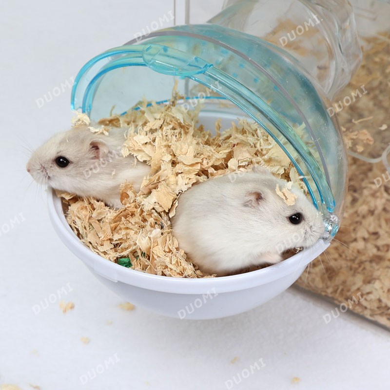 [มีในสต็อก + จัดส่งจากประเทศไทย]หนูแฮมสเตอร์ห้องน้ําภายนอกห้องซาวน่ากระบะทรายอุปกรณ์หมีสีทองกรงอะคริลิคภายนอก - รูปที่ 6