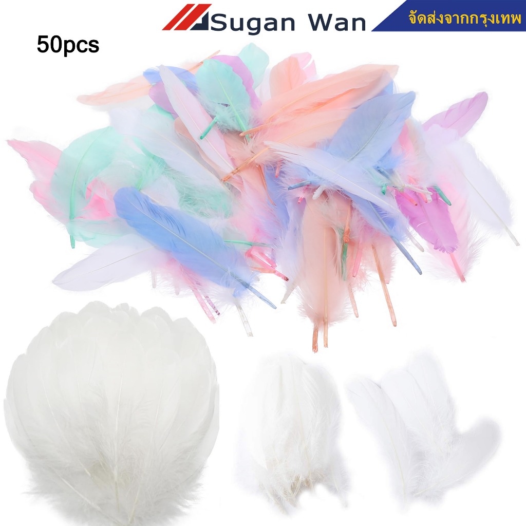 50 ชิ้น ขนห่านธรรมชาติ ขนห่าน ขนนก งานฝีมือ ขนห่านจริงย้อมสี พร้อมส่ง
