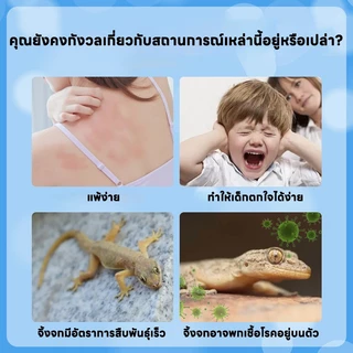 🦎100 เมตรไม่มีตุ๊กแก🦎Max ไล่จิ้งจก ยาฆ่าจิ้งจก ยาไล่ตุ๊กแก ไล่ ยาจิ้งจก กำจัดตุ๊กแก ซื้อ 1 แถม 1