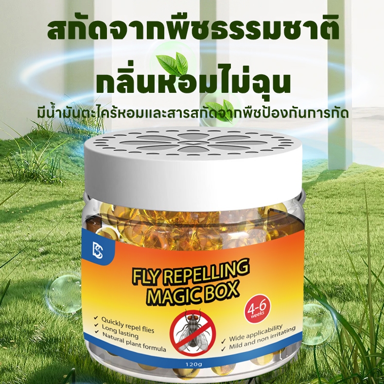 🪰ไล่แมลงวัน ไล่แมลงหวี่ ไม่เห็นแมลงวันสักตัวเดียว คงทน 90 วัน!🪰NANA ไล่แมลงวัน แมลงวัน กำจัดแมลงวัน ดักแมลงวัน แมลงหวี่ ไม่มีสารเคมีอันตราย ไม่ก่อให้เกิดอันตรายต่อร่างกายมนุษย์ - รูปที่ 4