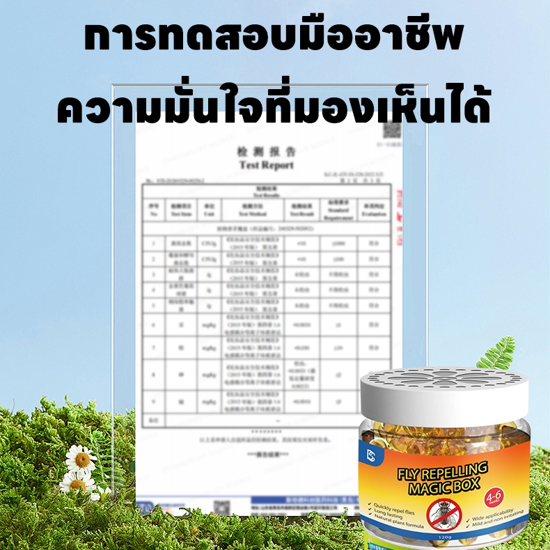 🪰ไล่แมลงวัน ไล่แมลงหวี่ ไม่เห็นแมลงวันสักตัวเดียว คงทน 90 วัน!🪰NANA ไล่แมลงวัน แมลงวัน กำจัดแมลงวัน ดักแมลงวัน แมลงหวี่ ไม่มีสารเคมีอันตราย ไม่ก่อให้เกิดอันตรายต่อร่างกายมนุษย์ - รูปที่ 6