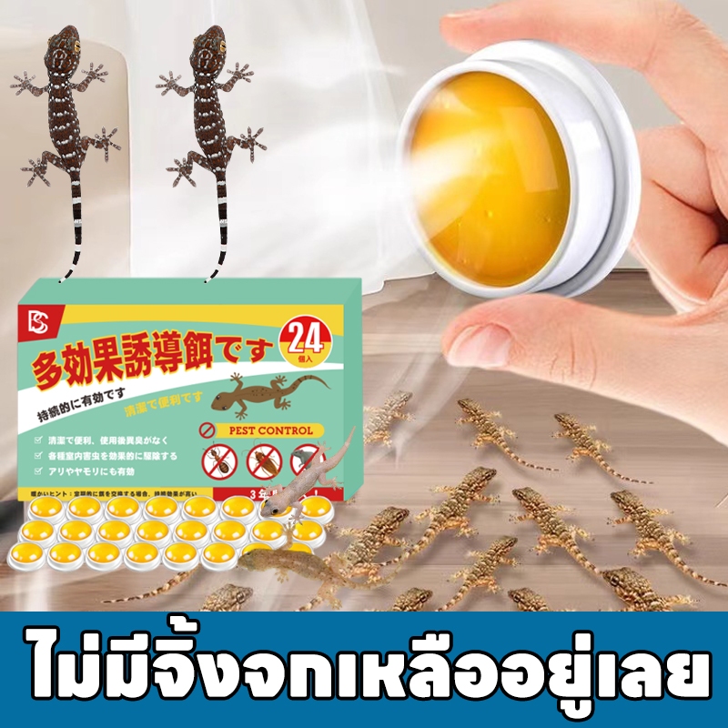🦎จิ้งจกหายเกลี้ยง🦎 Hb ยาฆ่าจิ้งจก ยาจิ้งจก ยาฆ่าตุ๊กแก ไล่จิ้งจก ยากำจัดตุ๊กแก ช้งานง่ายทั่วทั้งบ้าน กำจัดตุ๊กแก 100%
