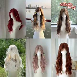 🔥พร้อมส่ง🔥วิกผมหญิง วิกผมยาว วิกผม  วิก พรีเมี่ยม 65-70cm วิ…