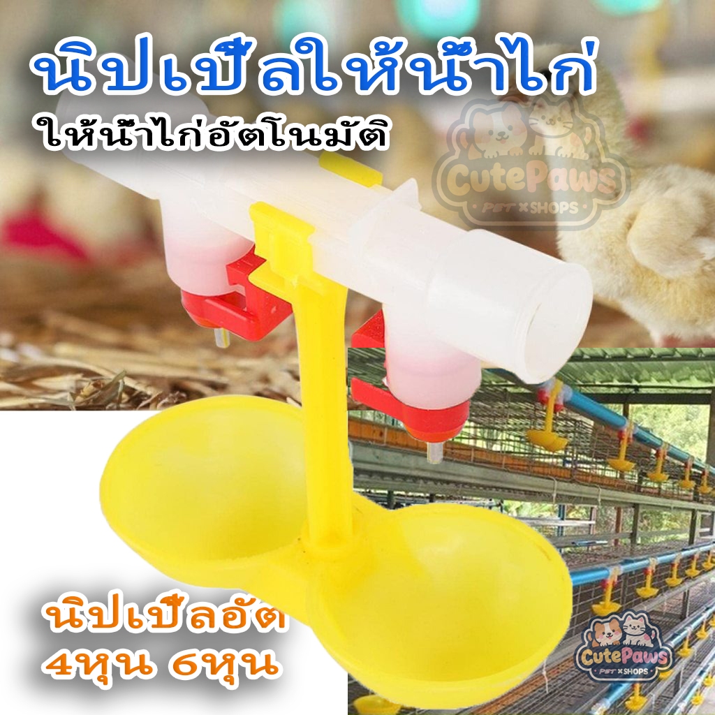 พร้อมส่ง🔥นิปเปิ้ลให้น้ำไก่ ให้น้ำไก่อัตโนมัติ นกกระทา แบบแฝด นิปเปิ้ลแฝด นิปเปิ้ลอัต 4หุน 6หุน