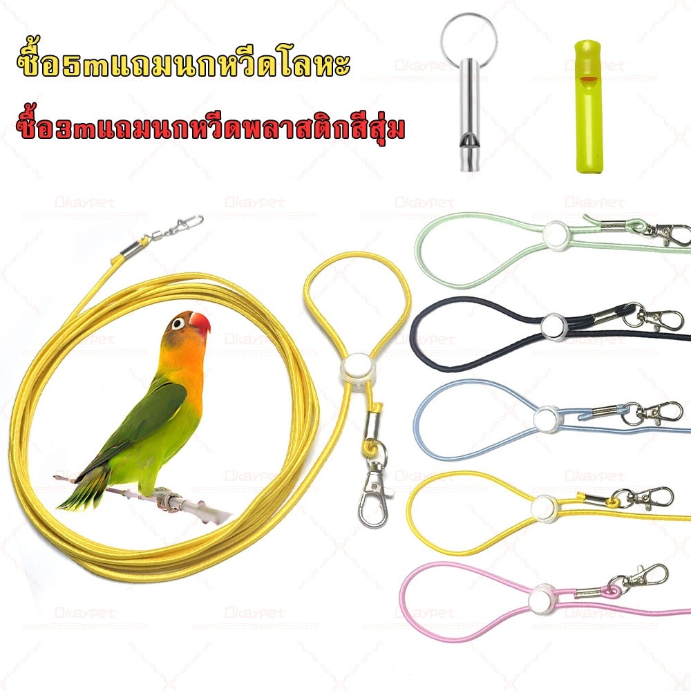 ห่วงขานก ห่วงซิลิโคนขานก ห่วงเปิดขานก ห่วงเปิด ห่วงเปิดคล้องขานก สำหรับฟอพัส เลิฟเบิร์ด คอกคาเทล