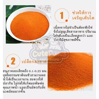 พร้อมส่ง🔥อาหารปลากัด ไข่อาร์ทีเมีย อาร์ทีเมียลอกเปลือก ป้อนโดยตรง ไรแดง อาหารปลาทอง อาหารลูกปลา