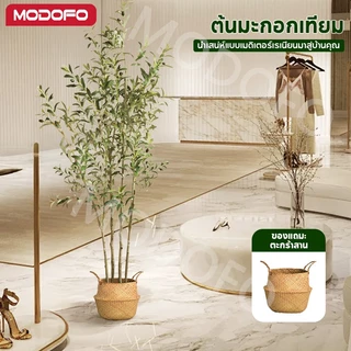 MODOFO ต้นไม้ปลอม (ด้วยตะกร้า) ต้นโอลีฟ 120/150/180 ซม. การตกแต่งพืช ต้นมะกอกปลอม เหมือนต้นไม้จริง