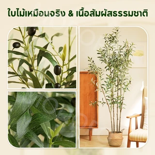 MODOFO ต้นไม้ปลอม (ด้วยตะกร้า) ต้นโอลีฟ 120/150/180 ซม. การตกแต่งพืช ต้นมะกอกปลอม เหมือนต้นไม้จริง