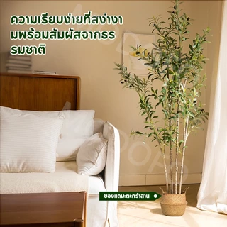 MODOFO ต้นไม้ปลอม (ด้วยตะกร้า) ต้นโอลีฟ 120/150/180 ซม. การตกแต่งพืช ต้นมะกอกปลอม เหมือนต้นไม้จริง
