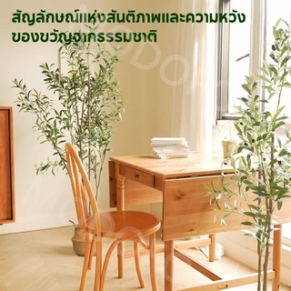 MODOFO ต้นไม้ปลอม (ด้วยตะกร้า) ต้นโอลีฟ 120/150/180 ซม. การตกแต่งพืช ต้นมะกอกปลอม เหมือนต้นไม้จริง