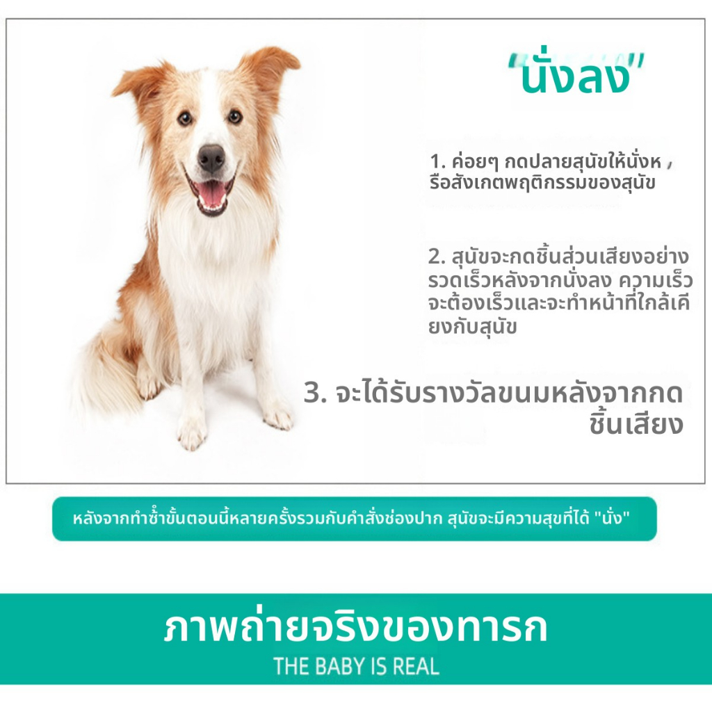 คลิกเกอร์ฝึกสุนัขลูกสุนัข ปรับพฤติกรรม/สอนคำสั่ง กระตุ้นการเรียนรู้-ปลอดภัย มีประสิทธิภาพสูง ราคา ถูกที่สุด ดีลบีเคเค แกลเลอรีภาพที่ 3
