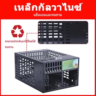 กับดักหนูหลายจับความไวแสงสูง นํากลับมาใช้ใหม่ได้ กรงเหล็กชุบกันสนิม ใช้ในร่ม/กลางแจ้ง ปลอดภัยสําหรับสัตว์เลี้ยง