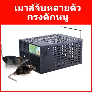 กับดักหนูหลายจับความไวแสงสูง นํากลับมาใช้ใหม่ได้ กรงเหล็กชุบกันสนิม ใช้ในร่ม/กลางแจ้ง ปลอดภัยสําหรับสัตว์เลี้ยง