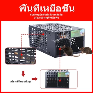 กับดักหนูหลายจับความไวแสงสูง นํากลับมาใช้ใหม่ได้ กรงเหล็กชุบกันสนิม ใช้ในร่ม/กลางแจ้ง ปลอดภัยสําหรับสัตว์เลี้ยง