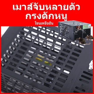 กับดักหนูหลายจับความไวแสงสูง นํากลับมาใช้ใหม่ได้ กรงเหล็กชุบกันสนิม ใช้ในร่ม/กลางแจ้ง ปลอดภัยสําหรับสัตว์เลี้ยง