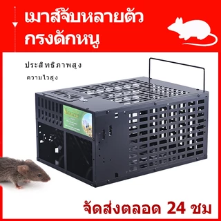 กับดักหนูหลายจับความไวแสงสูง นํากลับมาใช้ใหม่ได้ กรงเหล็กชุบกันสนิม ใช้ในร่ม/กลางแจ้ง ปลอดภัยสําหรับสัตว์เลี้ยง