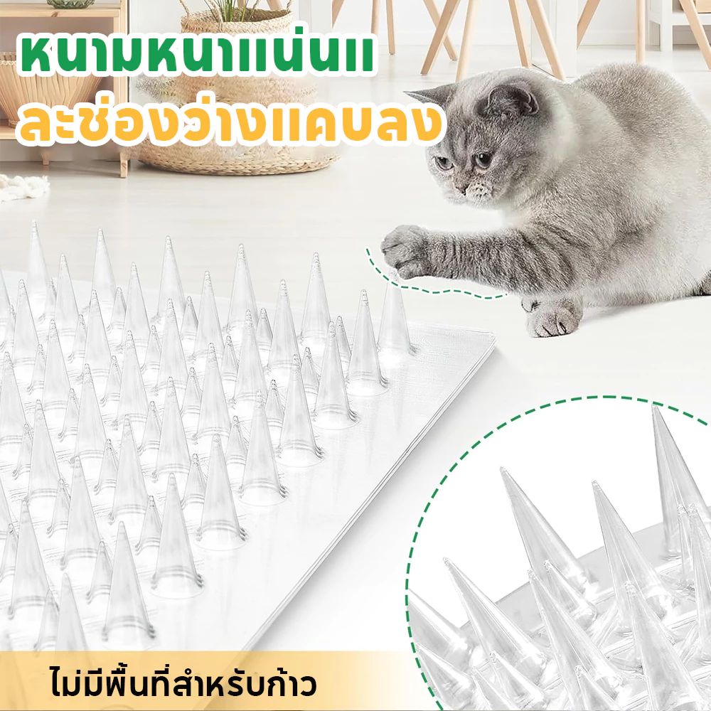 หนามไล่แมว-ไล่นกพิราบ PVC ใส ปลอดสาร ตัดต่อได้ ติดตั้งง่าย thumbnail 3