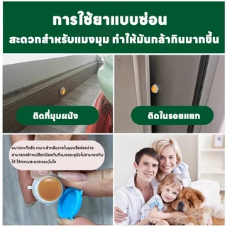 🕷️ไม่มีแมงมุมภายใน 10,000 เมตร 🕸️Max สเปรย์กำจัดแมงมุม ยาฉีดแมงมุม ไล่ กำจัดแมลงมุม ยาฆ่า สเปรย์ไล่ 1 กล่อง 24เม็ด