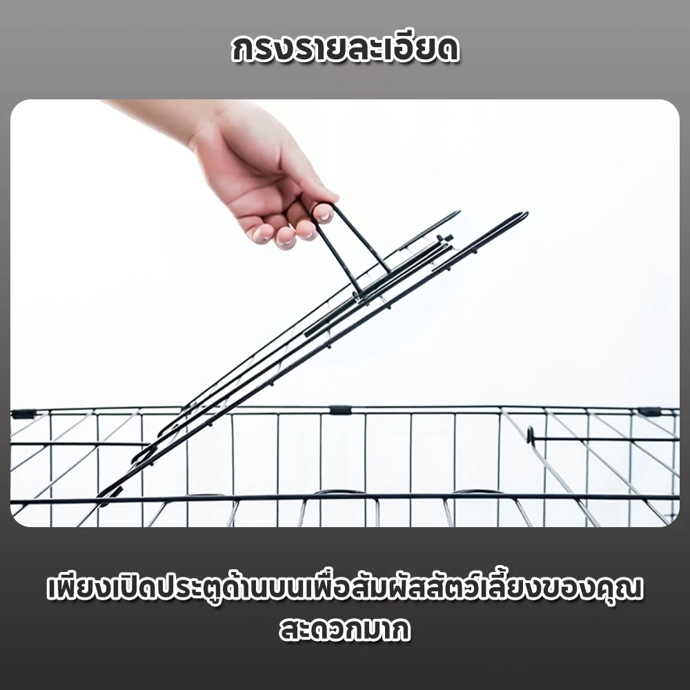 รูปภาพ 6