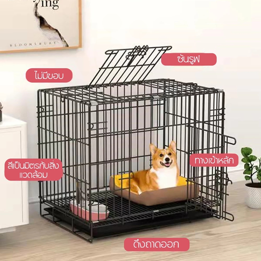 รูปภาพ 2