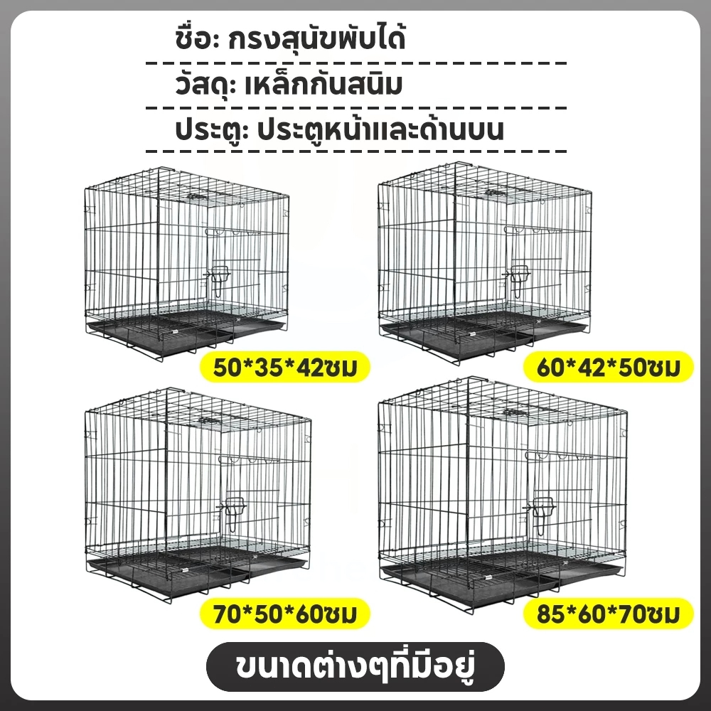 รูปภาพ 9