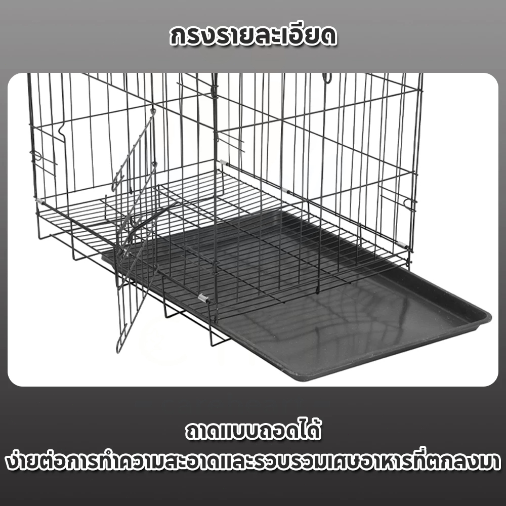 รูปภาพ 5